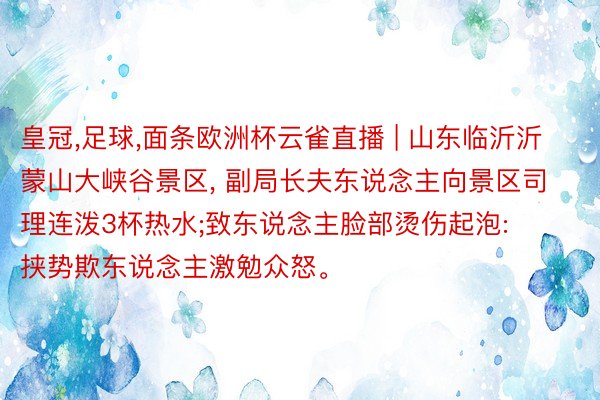 皇冠,足球,面条欧洲杯云雀直播 | 山东临沂沂蒙山大峡谷景区, 副局长夫东说念主向景区司理连泼3杯热水;致东说念主脸部烫伤起泡: 挟势欺东说念主激勉众怒。