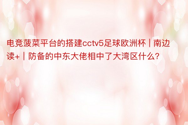 电竞菠菜平台的搭建cctv5足球欧洲杯 | 南边读+｜防备的中东大佬相中了大湾区什么？