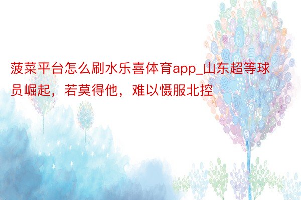 菠菜平台怎么刷水乐喜体育app_山东超等球员崛起，若莫得他，难以慑服北控